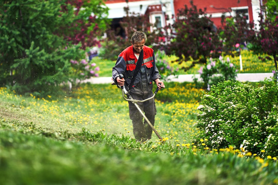 Rasenpflege als Symbolbild für Gartenservice